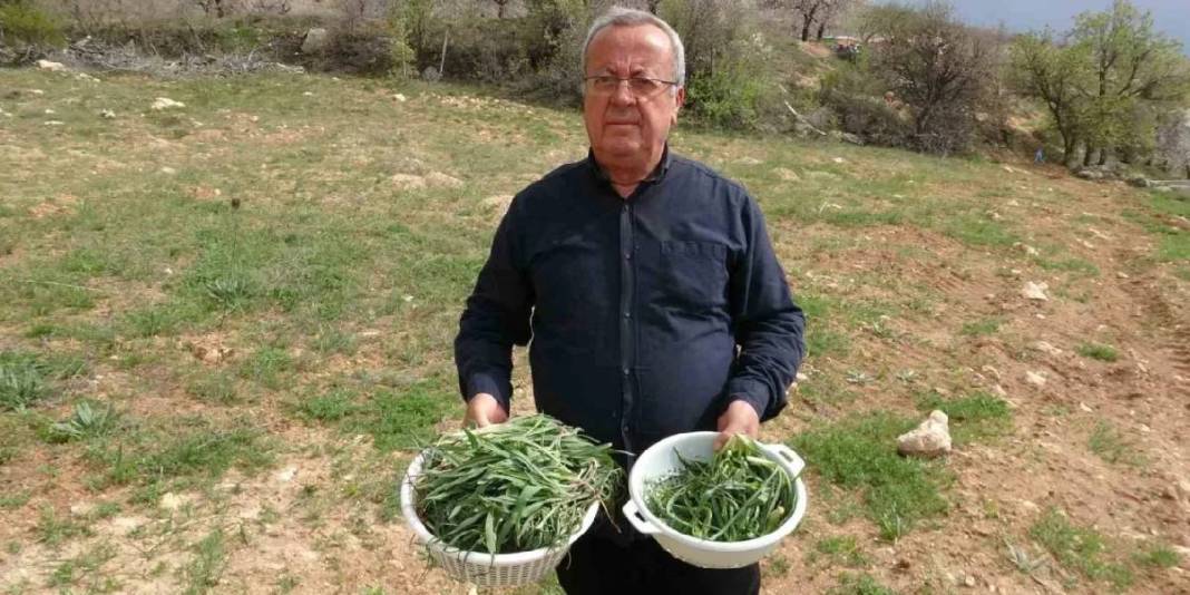 Kilosu 600 TL’yi gördü! Yere çöküp tek tek topluyorlar 4